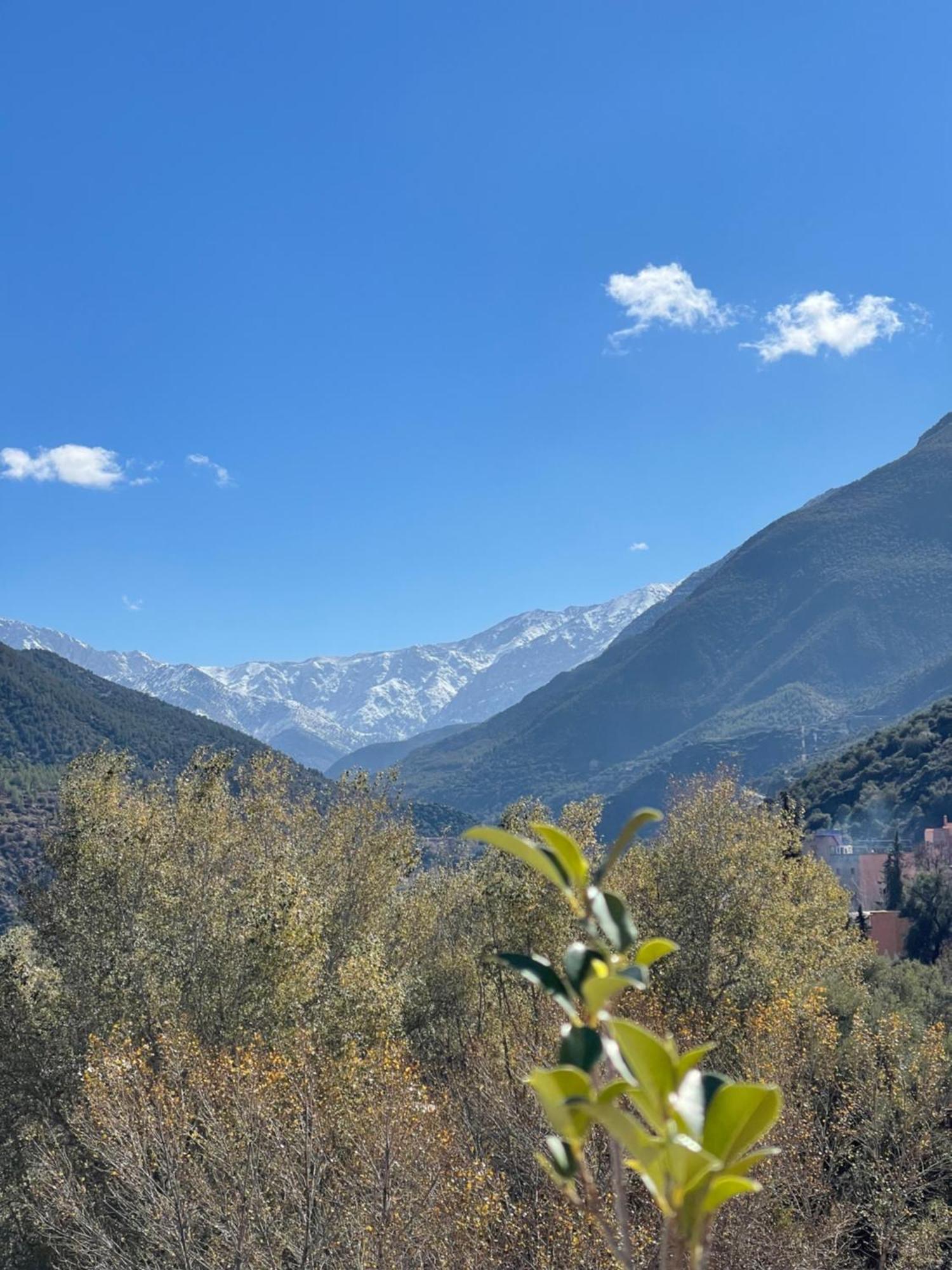 Dar Tawja Villa Asguine Bagian luar foto